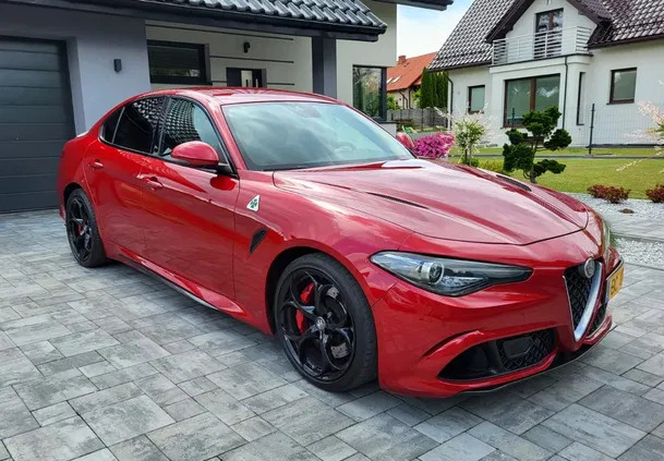 śląskie Alfa Romeo Giulia cena 219000 przebieg: 52500, rok produkcji 2017 z Kraków